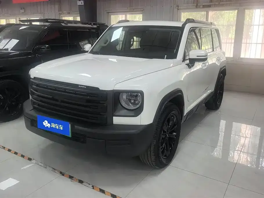 Haval Menglong New Energy — фото 1
