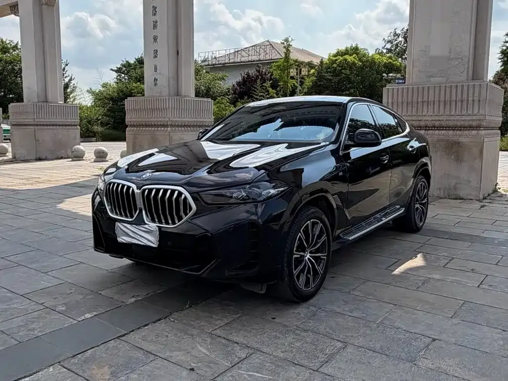 BMW X6 — фото 1
