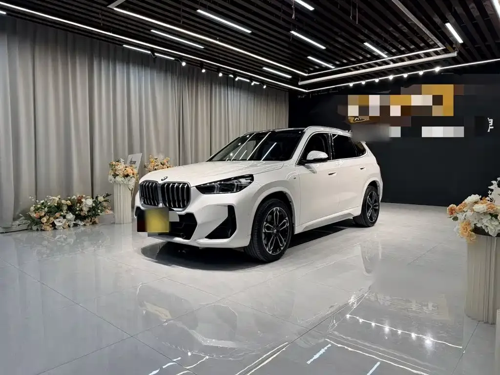 BMW X1 — фото 1