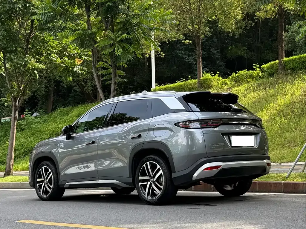 BYD L DM-i — фото 10