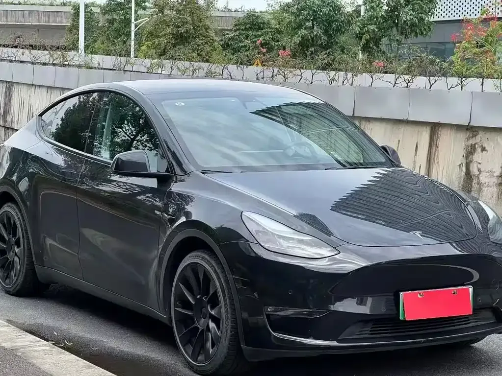 Tesla Model Y — фото 8