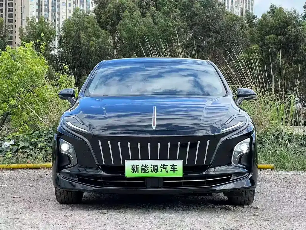 Hongqi E-QM5 — фото 4