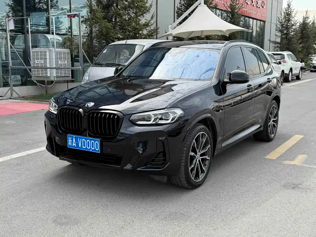 BMW X3 — фото 1