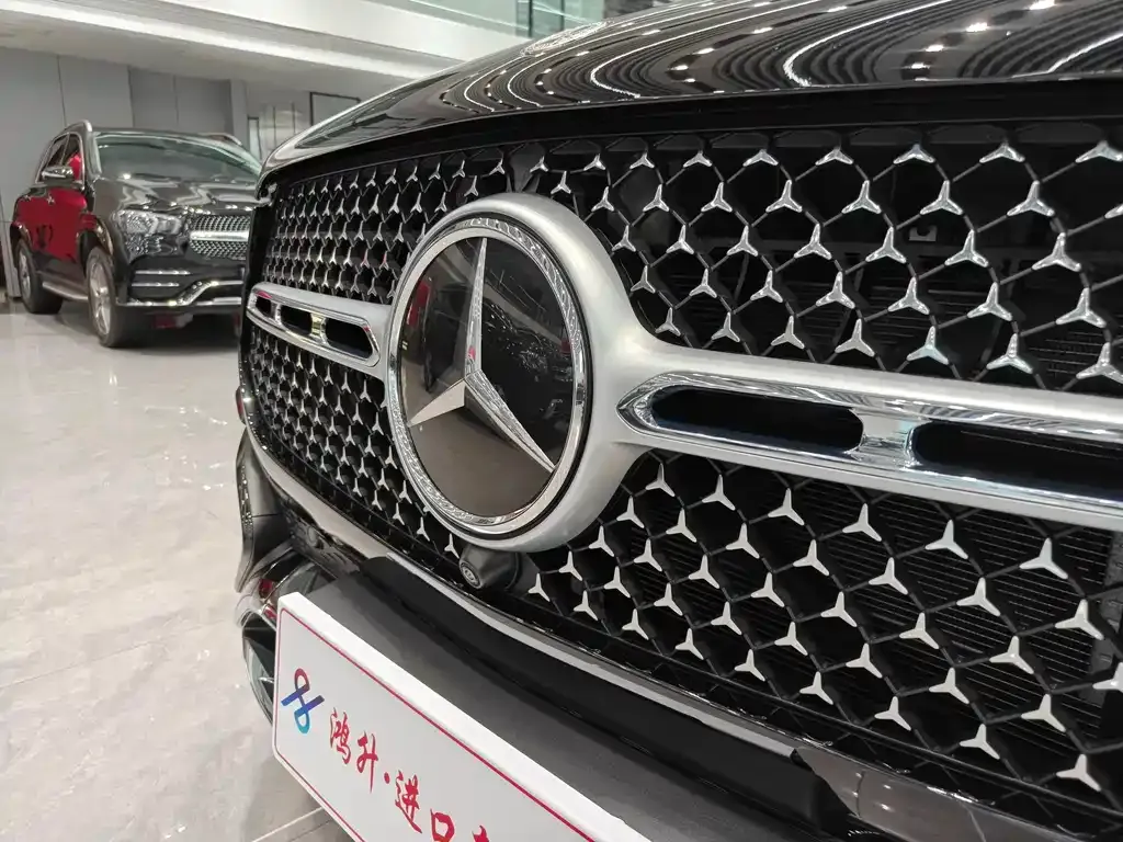 Mercedes-Benz 奔驰GLE(进口) — фото 8