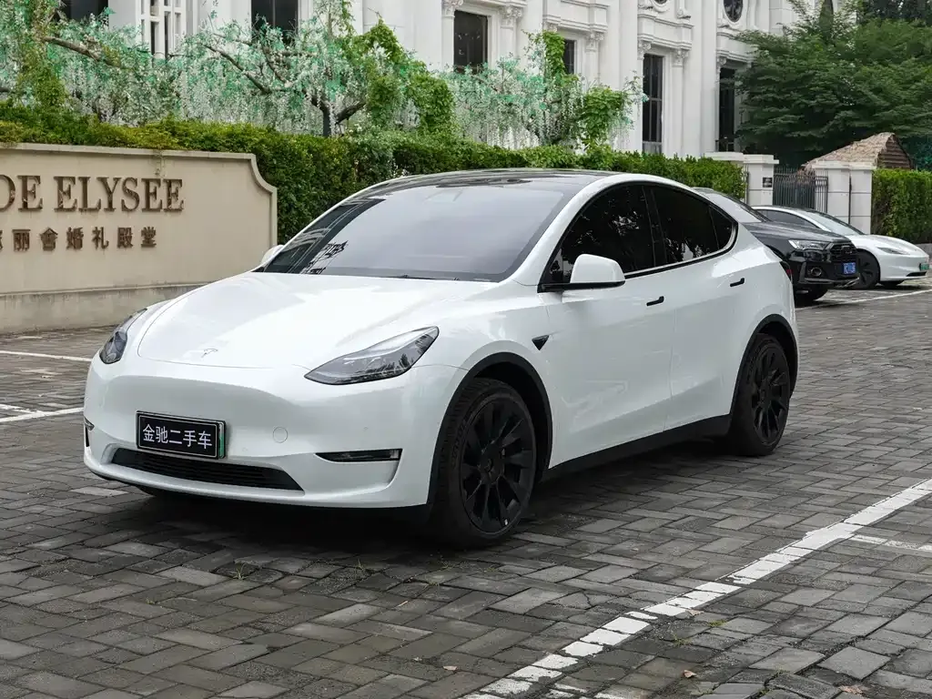Tesla Model Y — фото 1