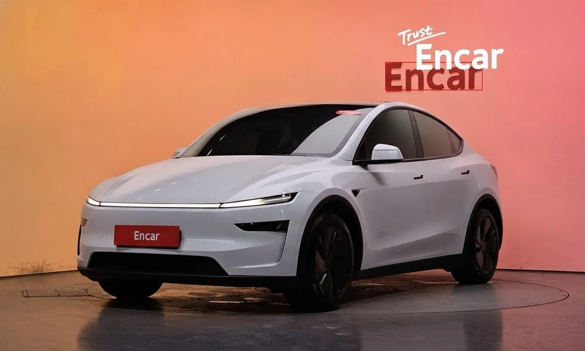 Tesla Model Y — фото 1