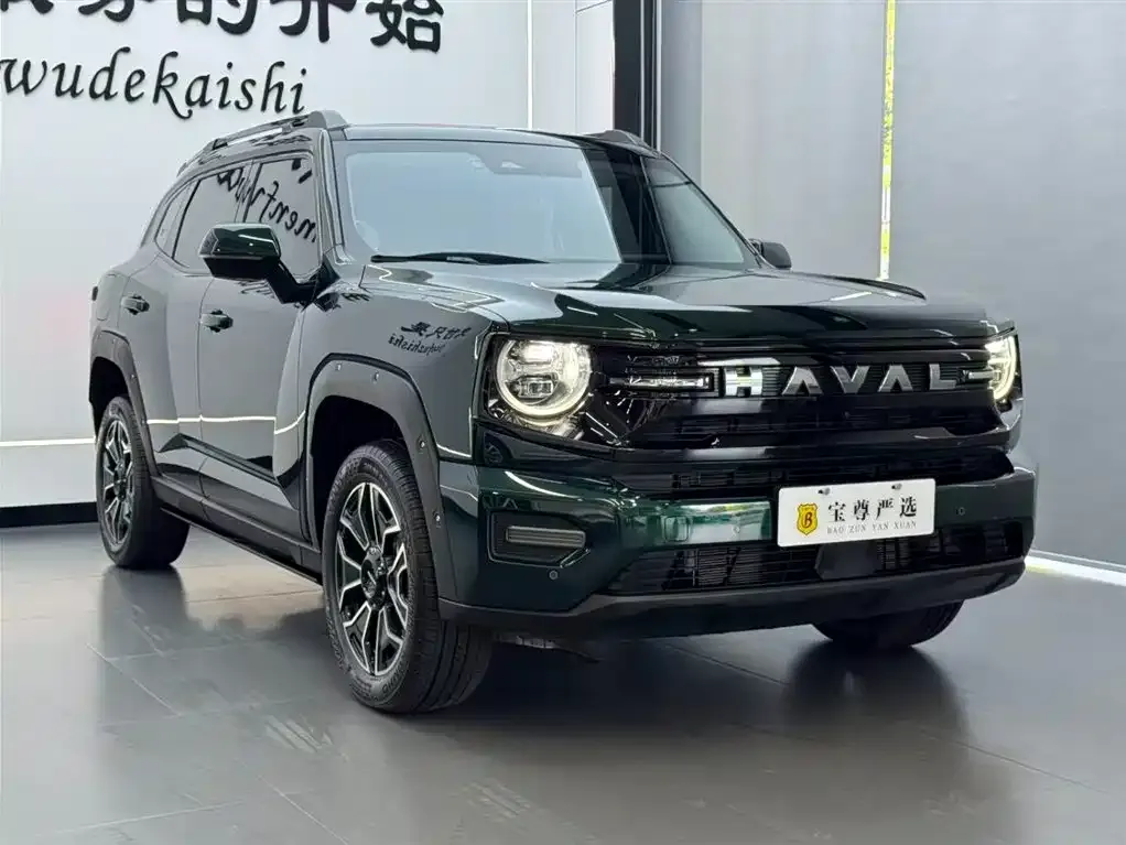 Haval Big Dog PLUS New Energy — фото 9