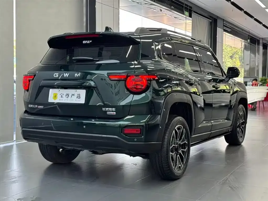 Haval Big Dog PLUS New Energy — фото 7