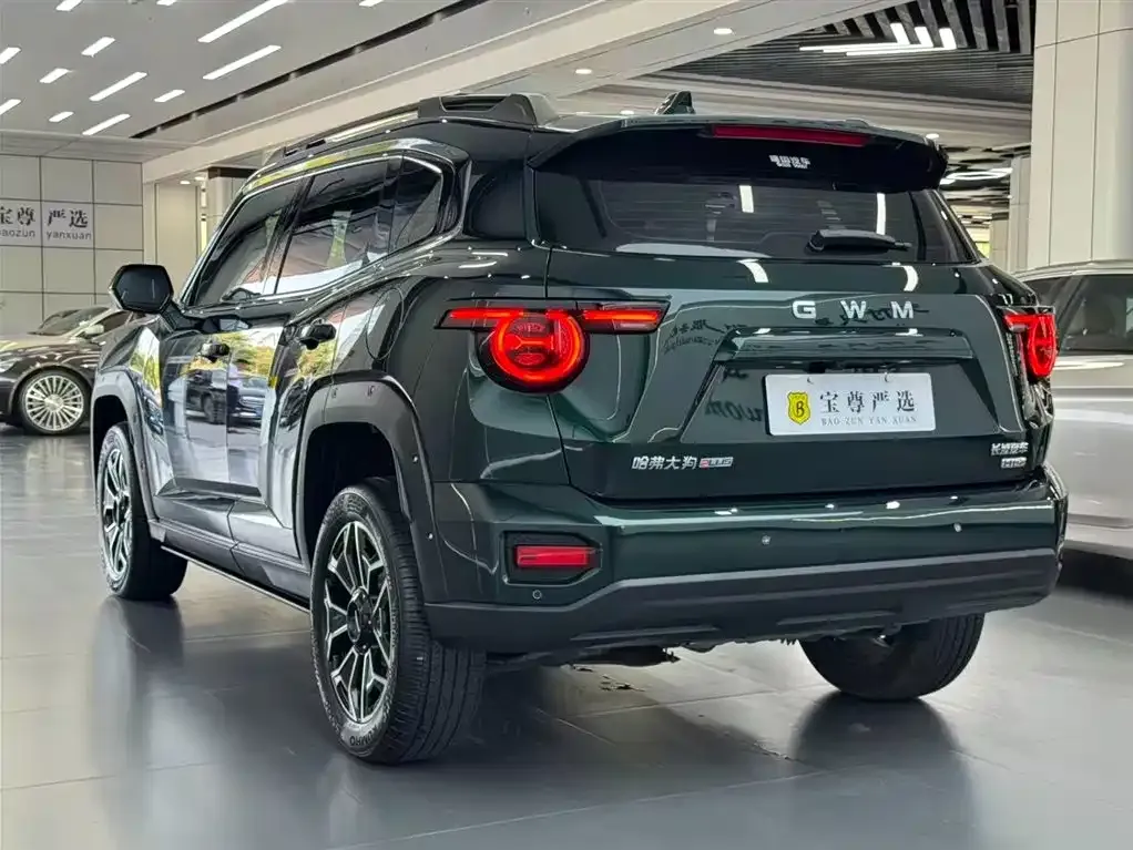 Haval Big Dog PLUS New Energy — фото 8