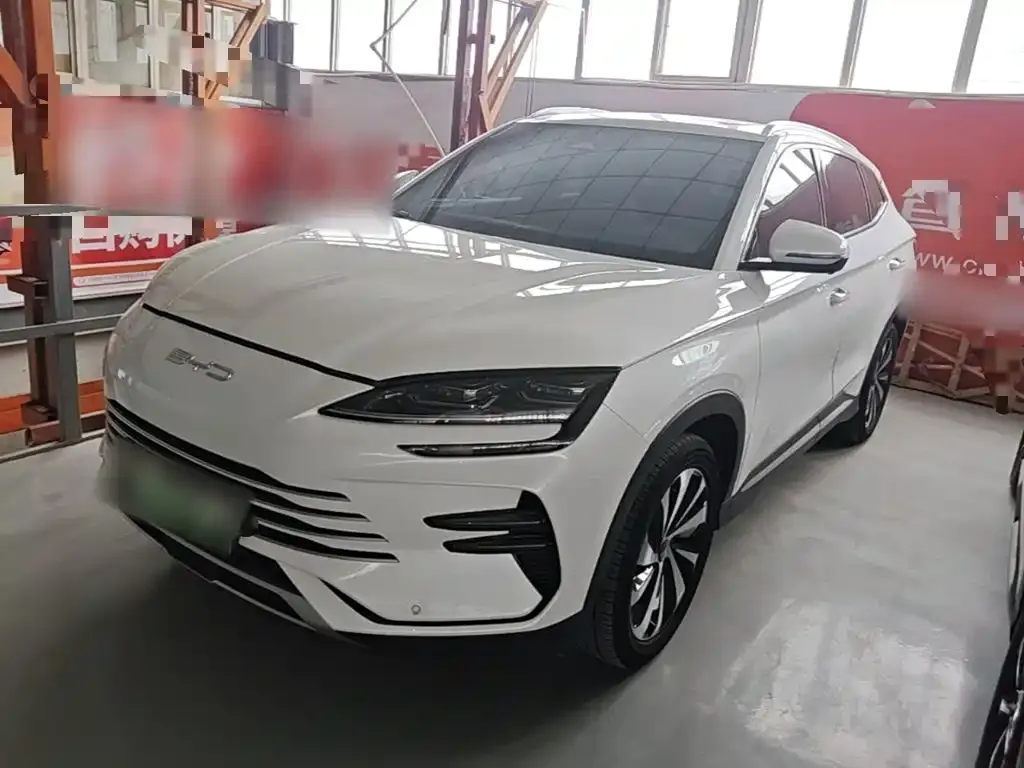 BYD PLUS New Energy — фото 1