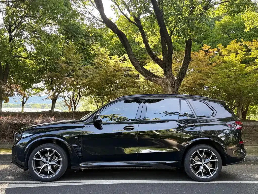 BMW X5 — фото 4