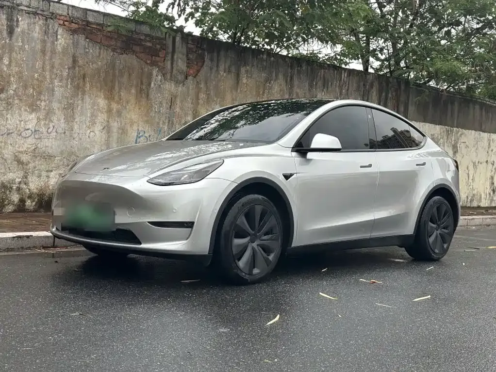Tesla Model Y — фото 1