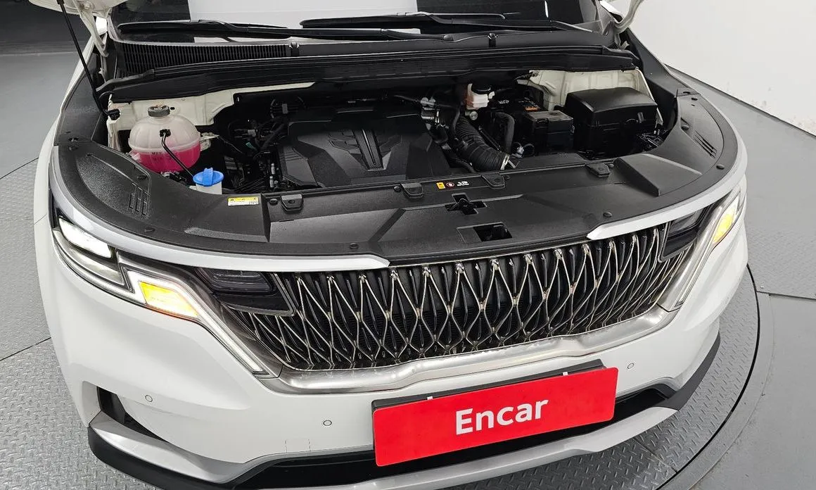Kia Carnival — фото 10