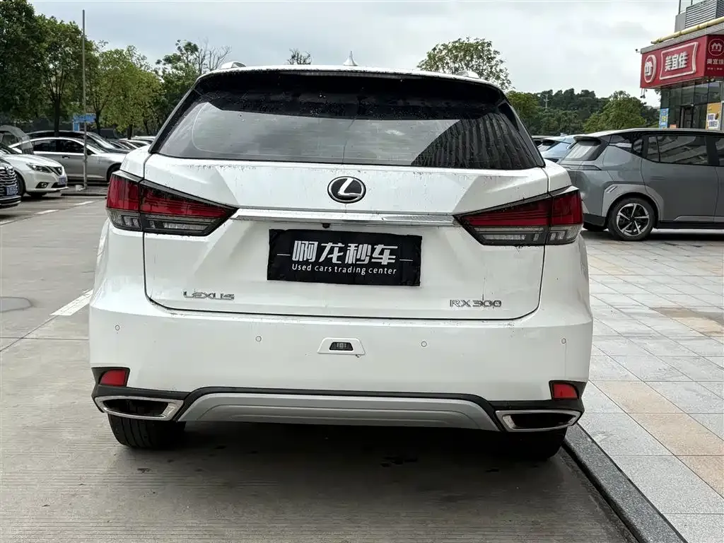 Lexus RX — фото 4