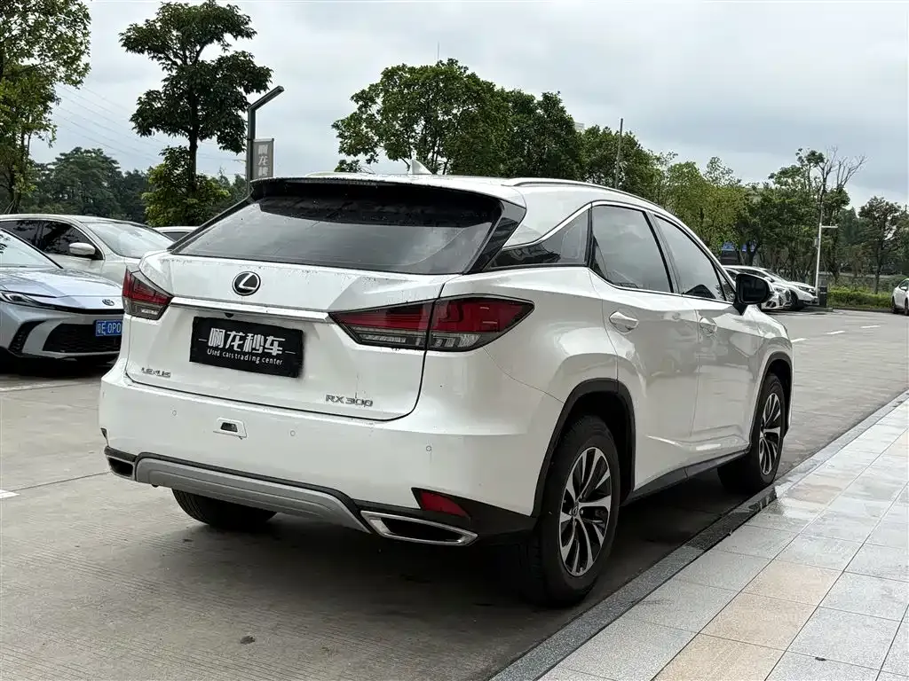 Lexus RX — фото 7