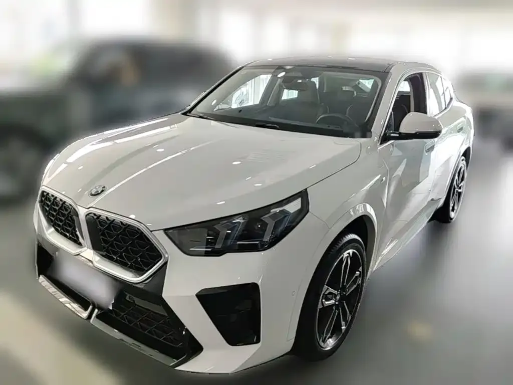 BMW X2 (Import) — фото 10