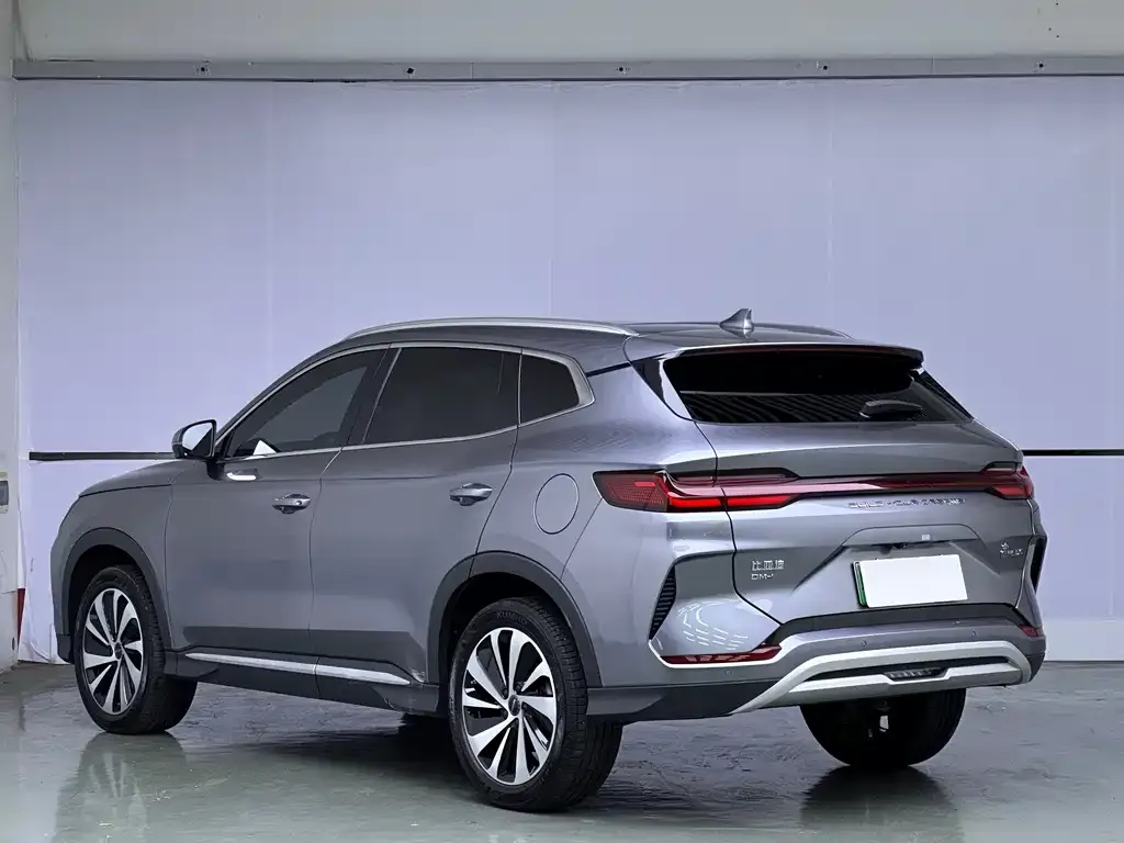 BYD PLUS New Energy — фото 2