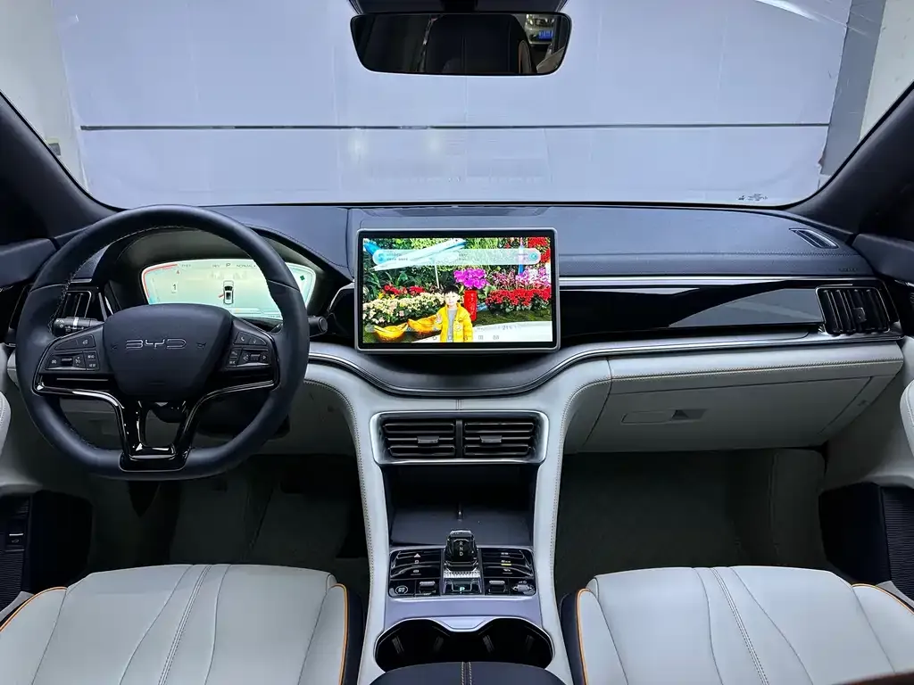 BYD PLUS New Energy — фото 10