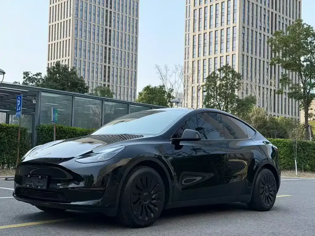 Tesla Model Y — фото 9