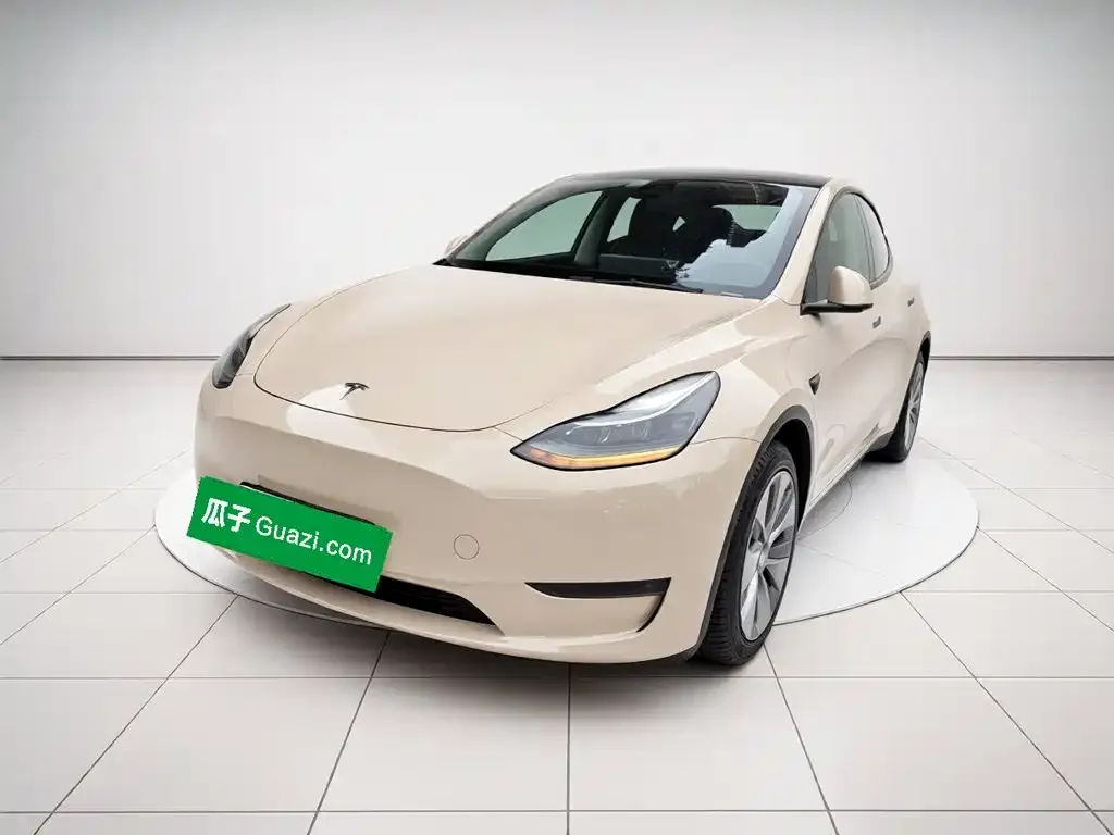 Tesla Model Y — фото 1