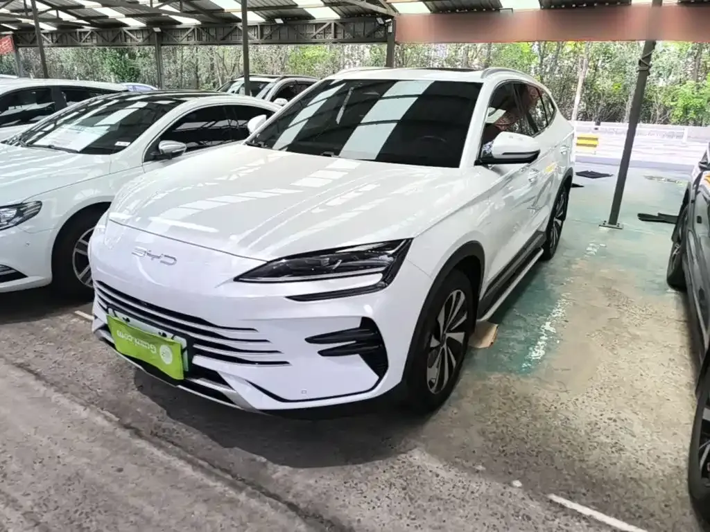 BYD PLUS New Energy — фото 1