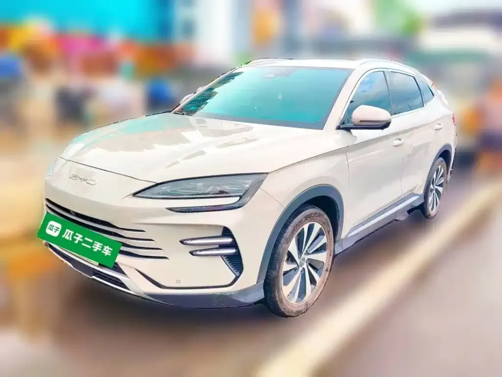 BYD PLUS New Energy — фото 1