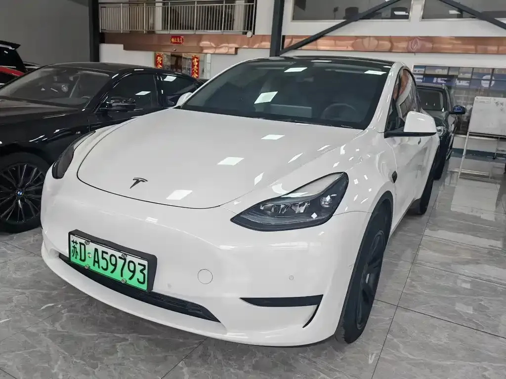 Tesla Model Y — фото 1