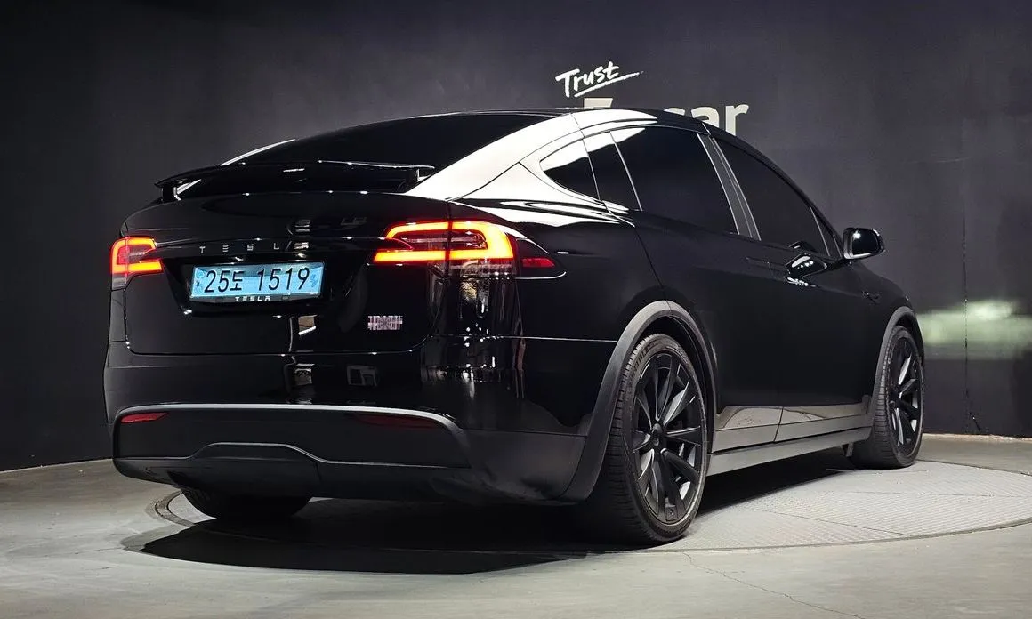 Tesla Model X — фото 6