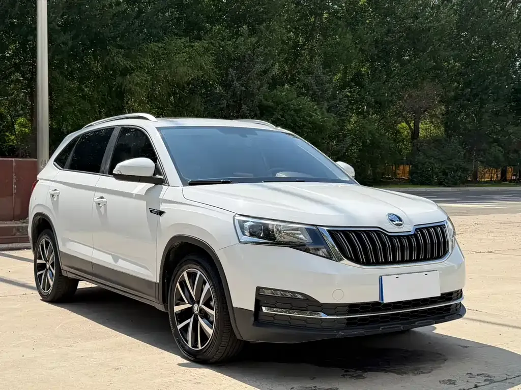 Skoda Kamiq — фото 8