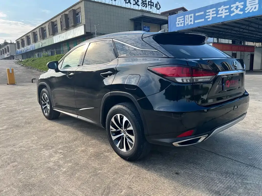 Lexus RX — фото 10