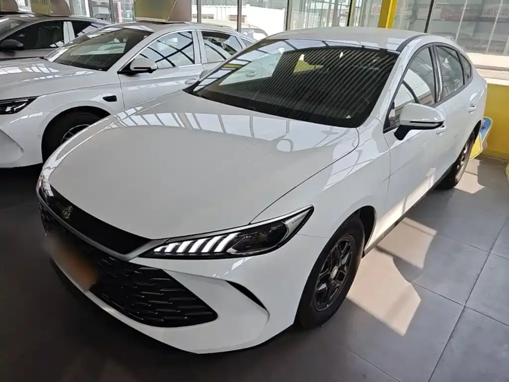 BYD Qin PLUS — фото 1