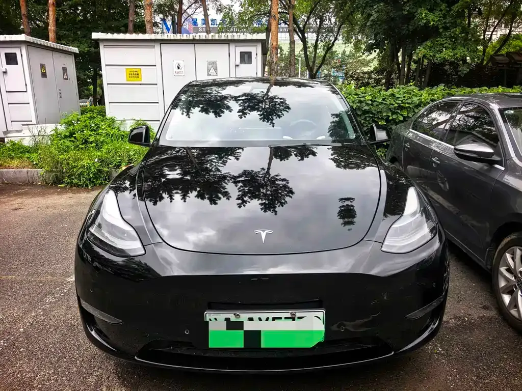 Tesla Model Y — фото 1