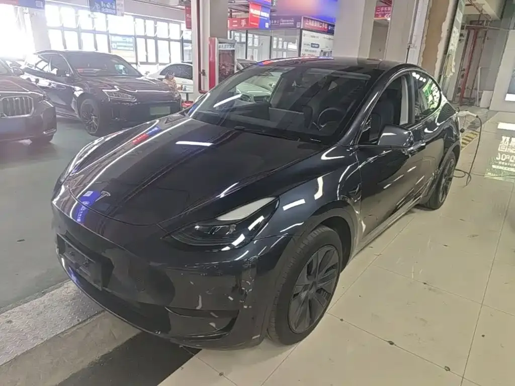Tesla Model Y — фото 1