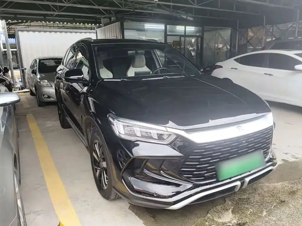 BYD Pro New Energy — фото 3