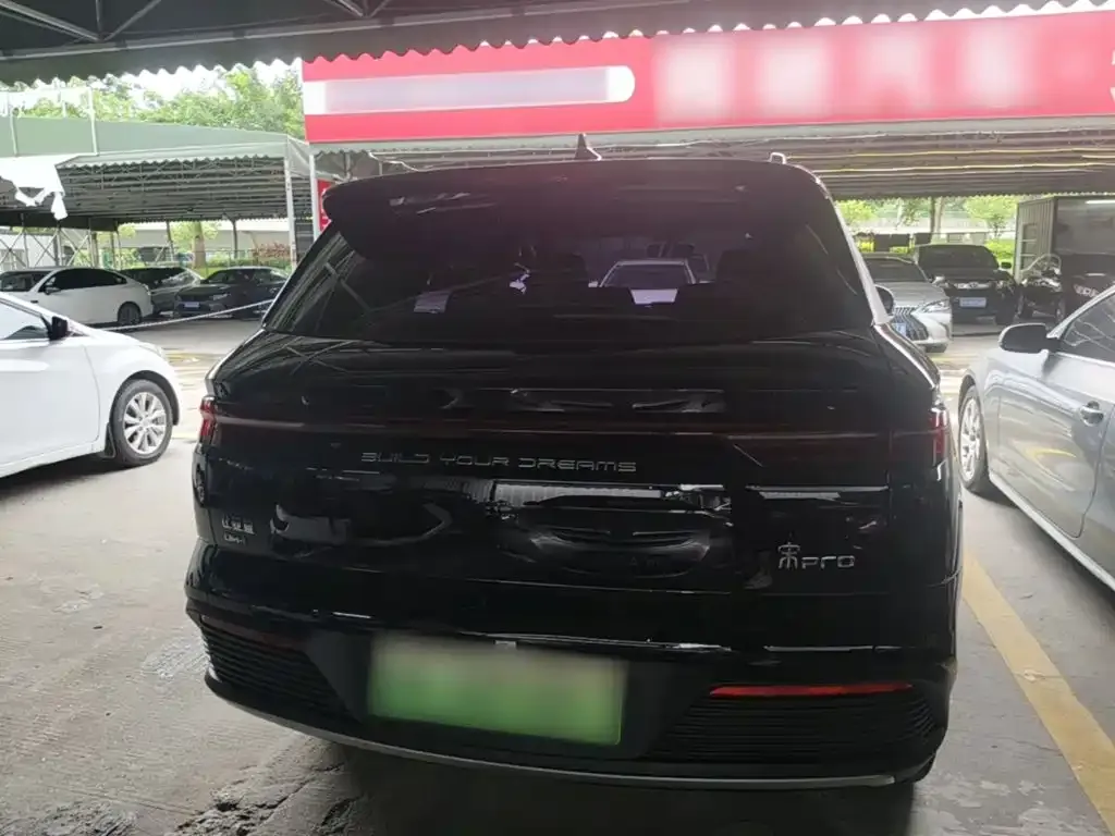 BYD Pro New Energy — фото 8