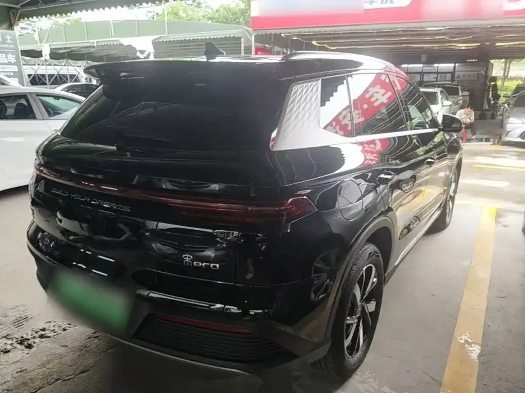BYD Pro New Energy — фото 6