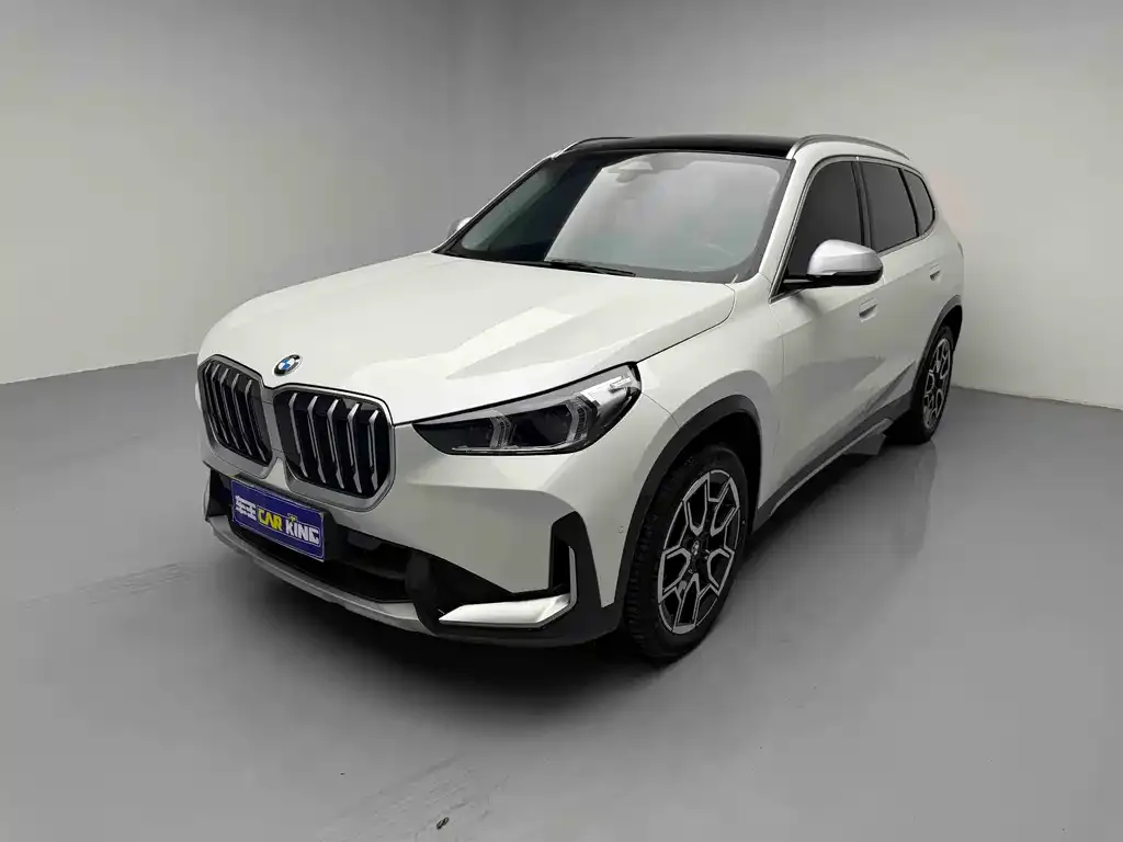 BMW X1 — фото 1