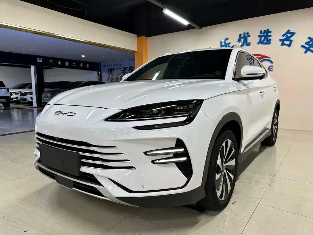 BYD PLUS New Energy — фото 1