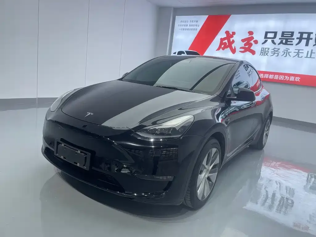 Tesla Model Y — фото 1