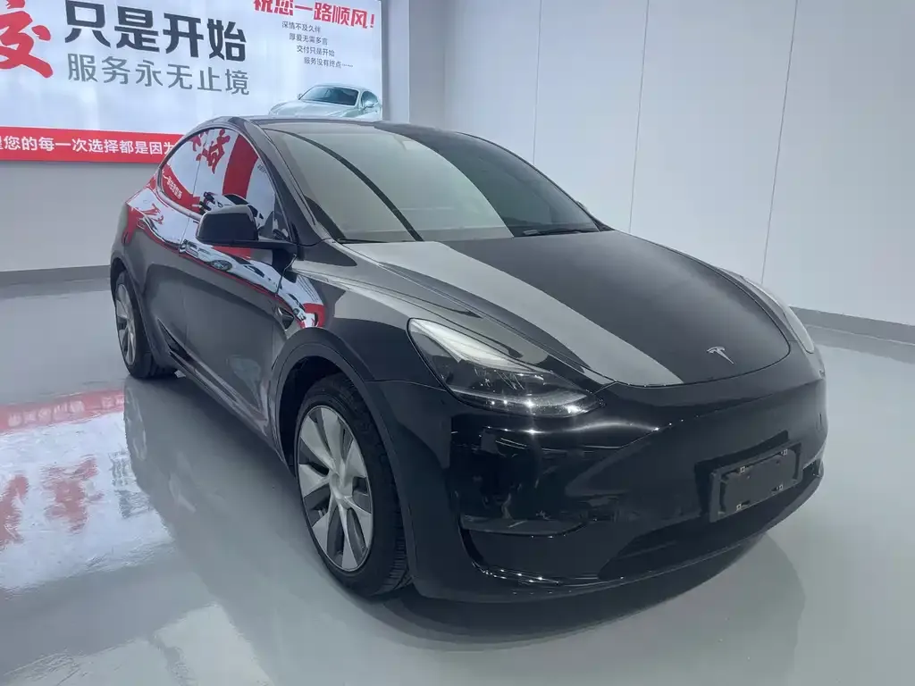 Tesla Model Y — фото 8