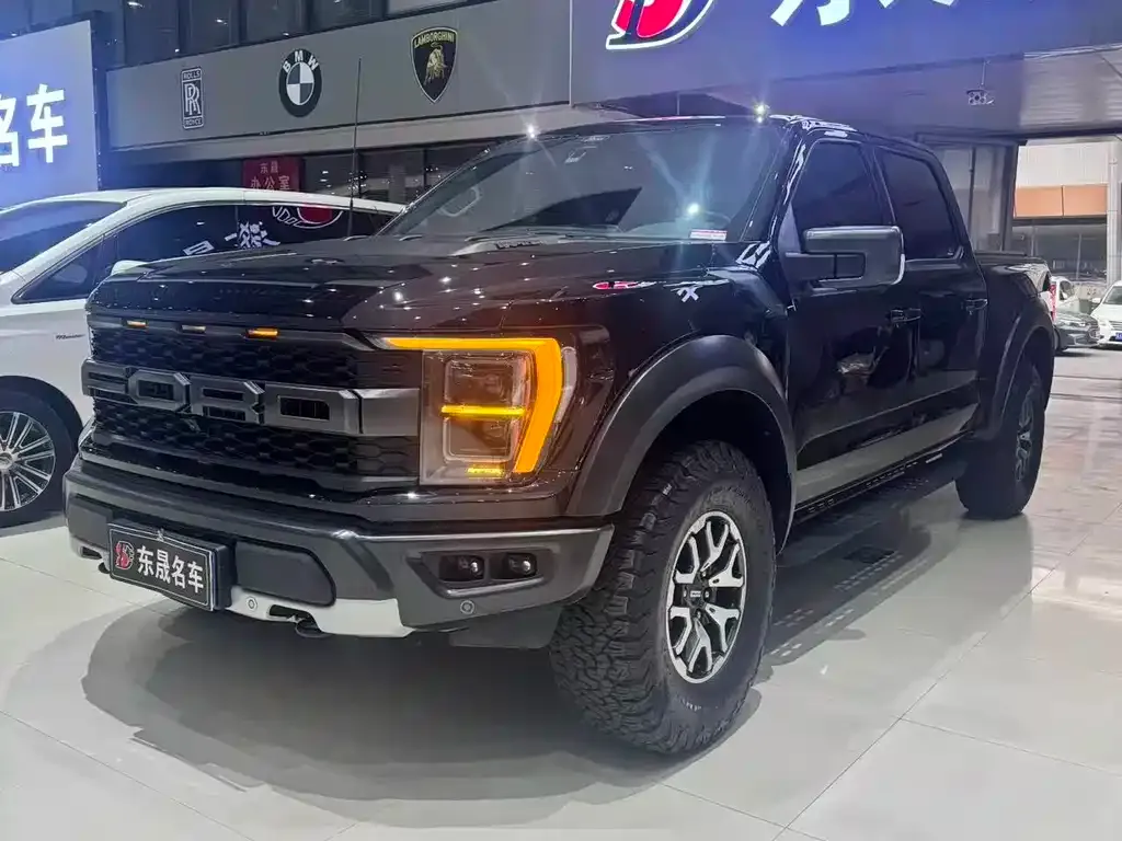 Ford F-150 Raptor — фото 1
