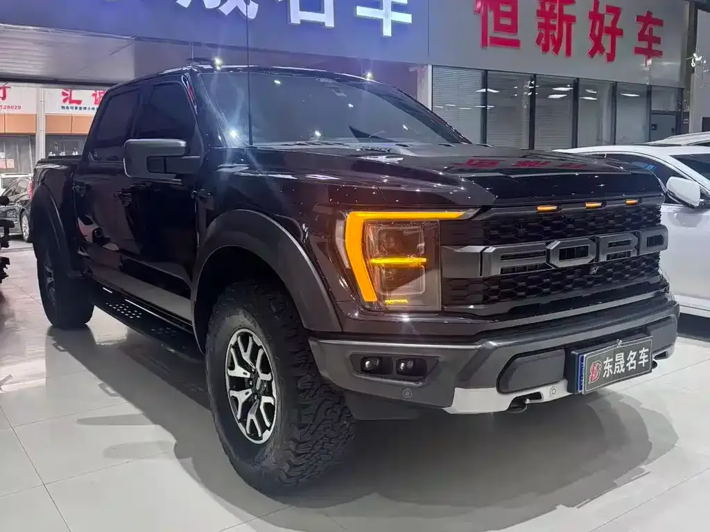 Ford F-150 Raptor — фото 8