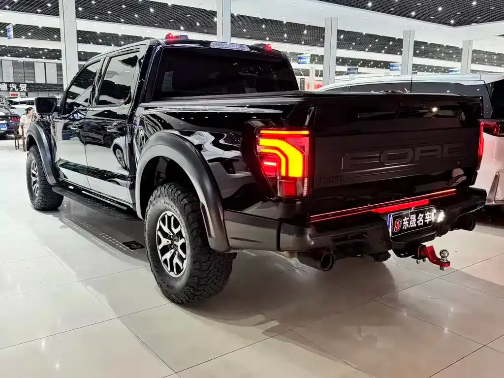 Ford F-150 Raptor — фото 6