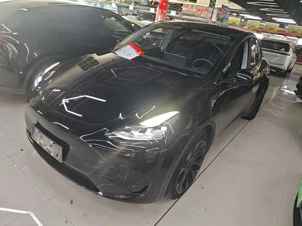 Tesla Model Y — фото 1
