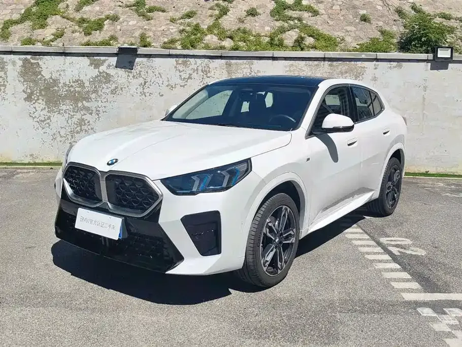BMW X2 — фото 1