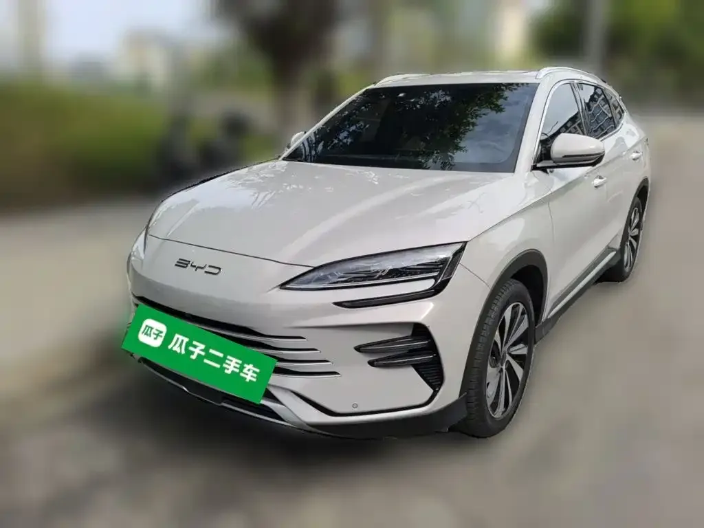 BYD PLUS New Energy — фото 1
