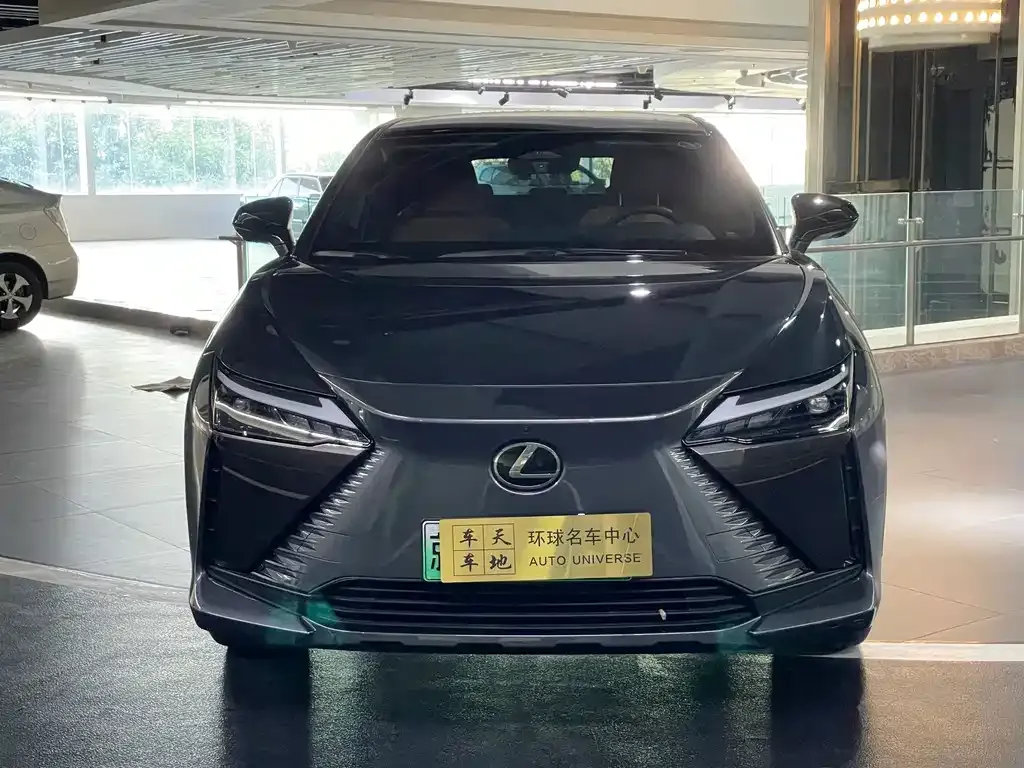 Lexus RZ — фото 8