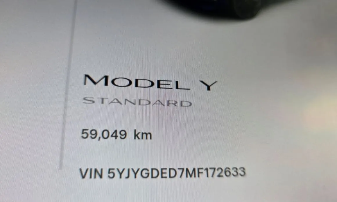 Tesla Model Y — фото 9