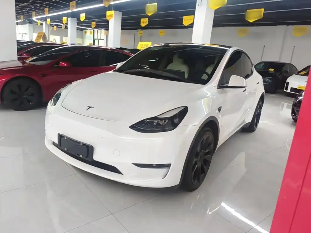 Tesla Model Y — фото 1
