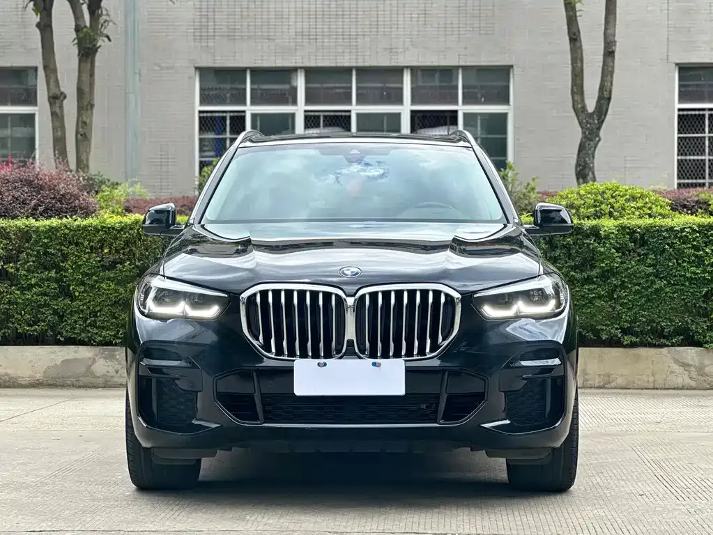 BMW X5 (Import) — фото 1